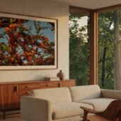 Forest Precipice by Tanja Gacic, framed limited edition print shown in an interior (visualisation, not to scale)